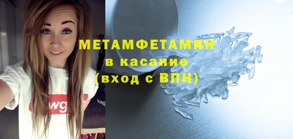 индика Медвежьегорск