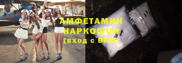 индика Мегион