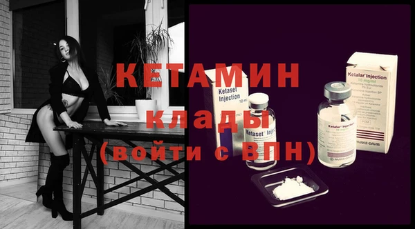индика Мегион