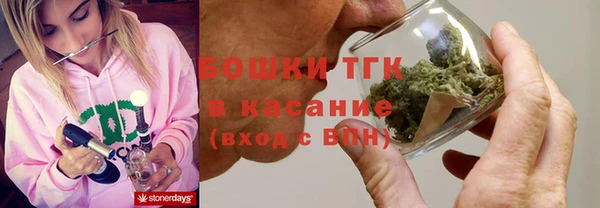 индика Медвежьегорск