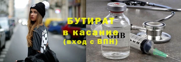 индика Медвежьегорск
