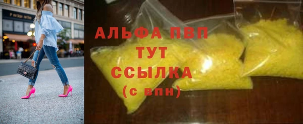 индика Медвежьегорск