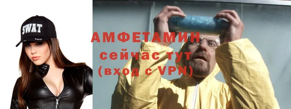 индика Мегион