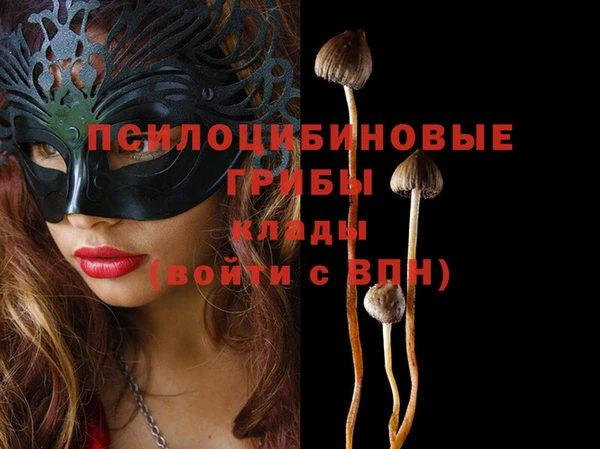 прущие крисы Медногорск