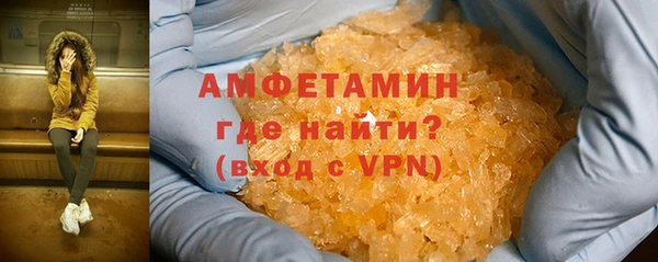 индика Мегион