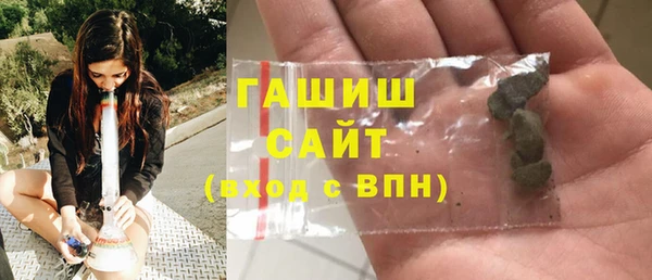 индика Медвежьегорск